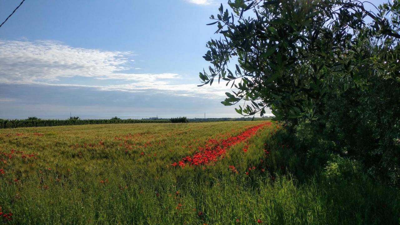 Punta Aderci Rooms Vasto Bagian luar foto